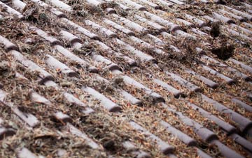 Seabridge roof cleaning companies