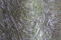 Seabridge fibreglass roof work